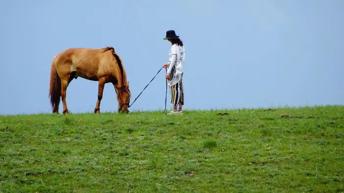 锡林郭勒草原冬天骑马,锡林郭勒盟大草原骑马