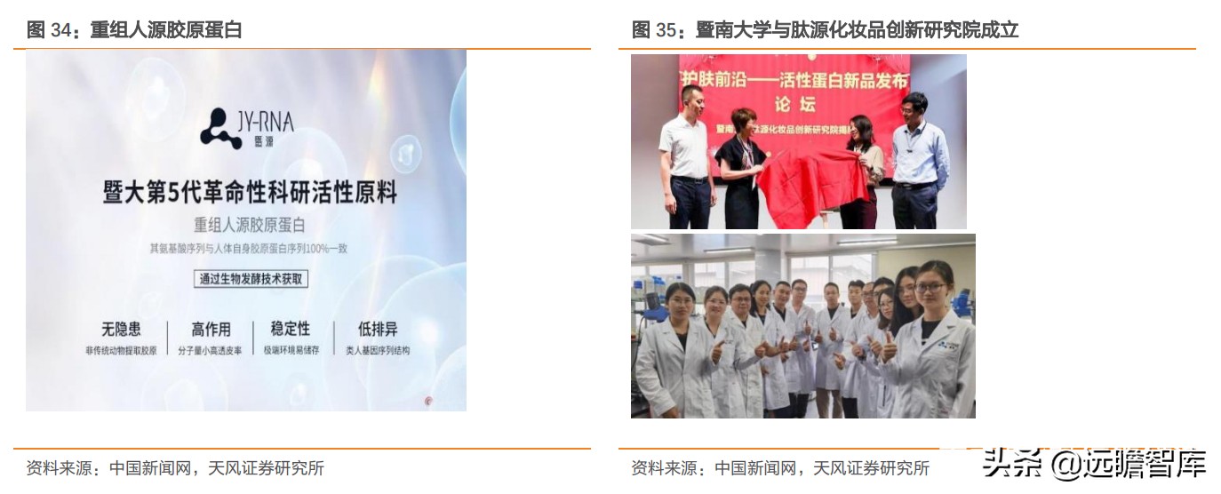 重组胶原蛋白未来趋势,胶原蛋白重组是高端产业吗