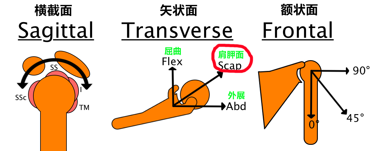 增肌训练指的是,增肌力量的基本知识