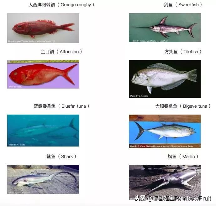 孕妇为什么不能吃螃蟹和柿子,孕妇吃螃蟹吃柿子有什么影响