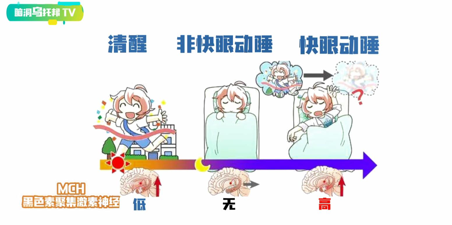 全球仅有71例的罕见疾病,罕见疾病能开启大脑潜能