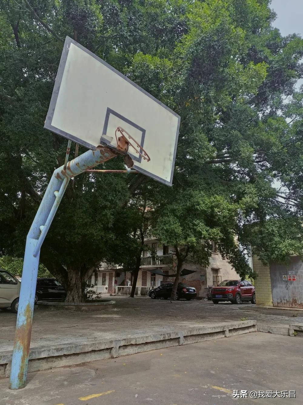 乐昌市棉纺厂历史,乐昌市最老的纺织厂