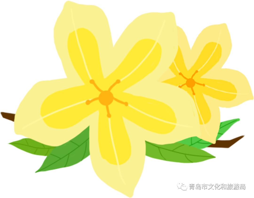 识花赏花学知识,赏花识花学知识