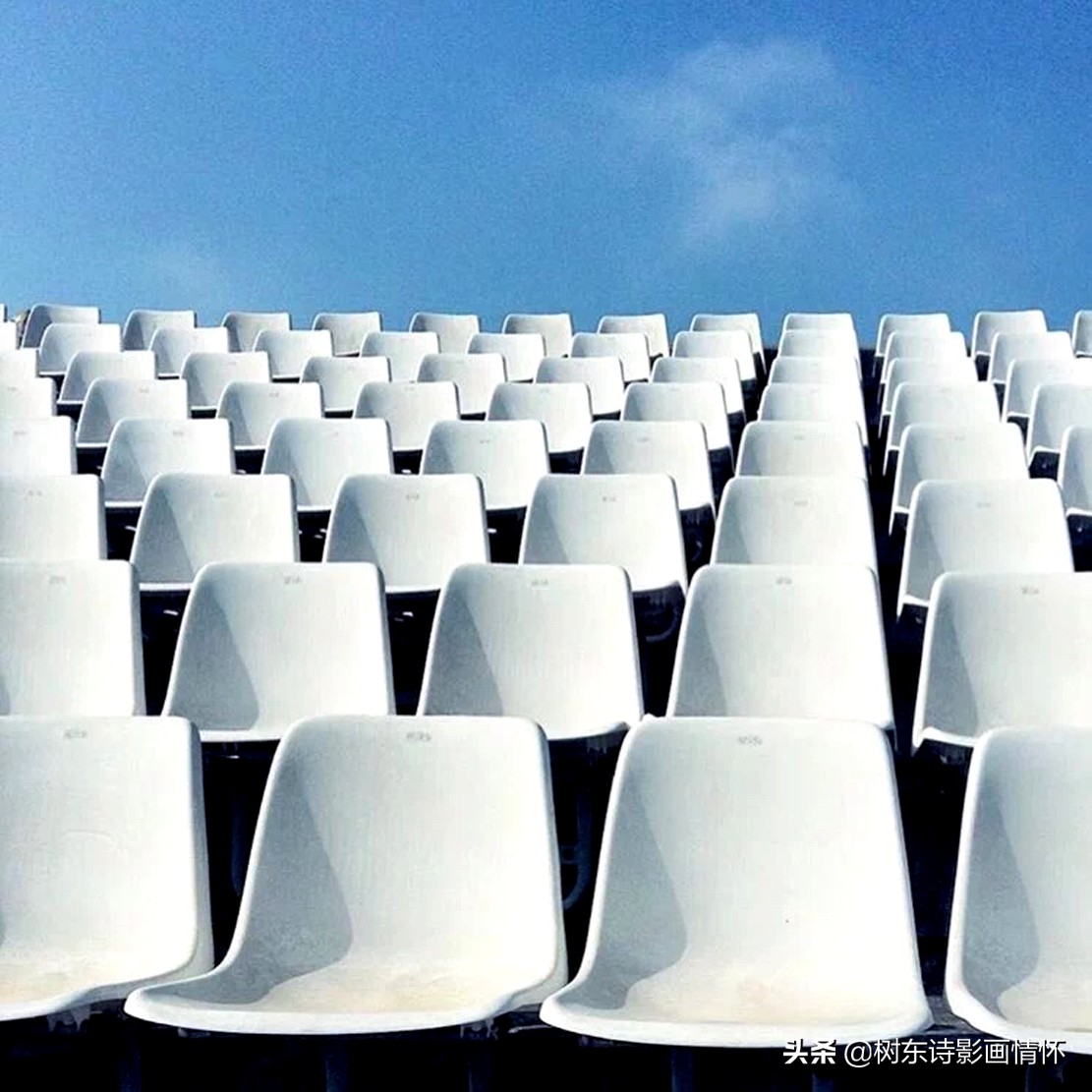 七律岁月,七律岁月年轮