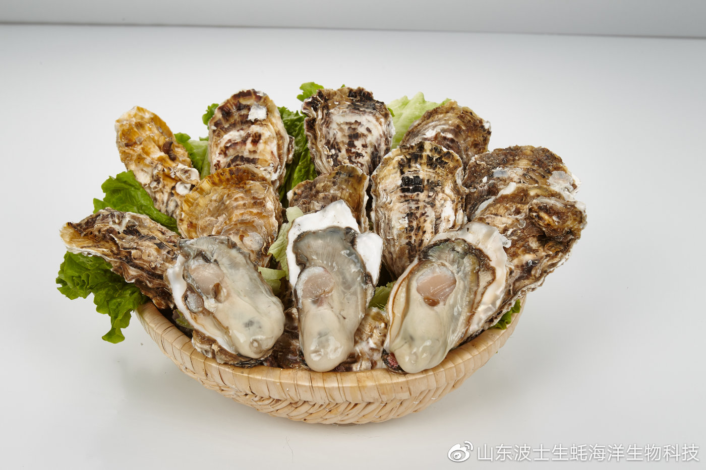 生吃生蚝怎么预防寄生虫,生蚝里的寄生虫吃什么药