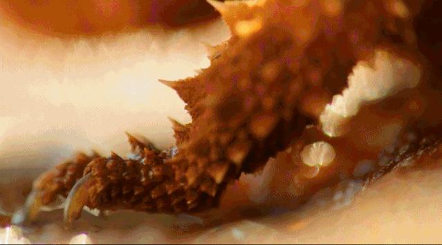 豆瓣9.6！娃刷到停不下来，还能看出人生大道理