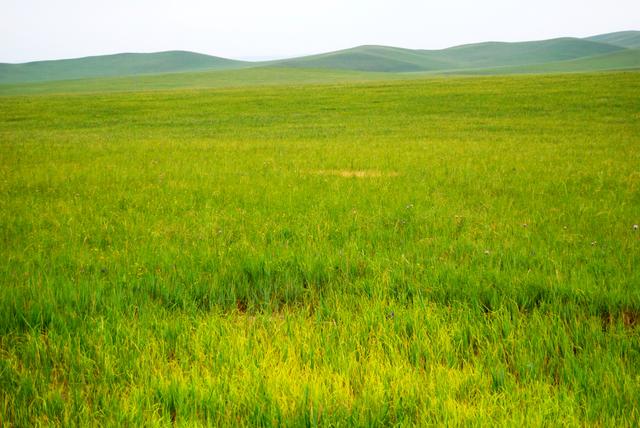 一辆车，从东乌旗沿中蒙边境公路到阿尔山，漫长边关寻迹历史遗存