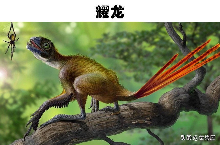 科学家发现的四种奇怪动物,科学家发现的极度奇怪的生物