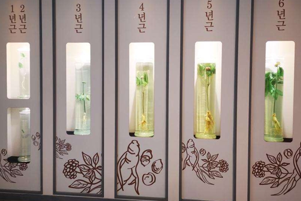 在韩国如何购买中国商品,韩国购物必备商品