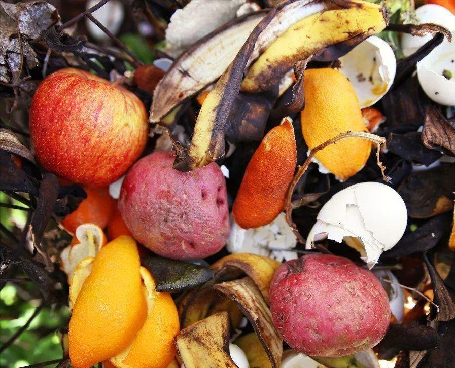 酸性水浇花的最佳方法,浇花加醋和糖