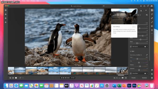 带你看最劲爆的苹果发布会,全网最详细的苹果发布会盘点