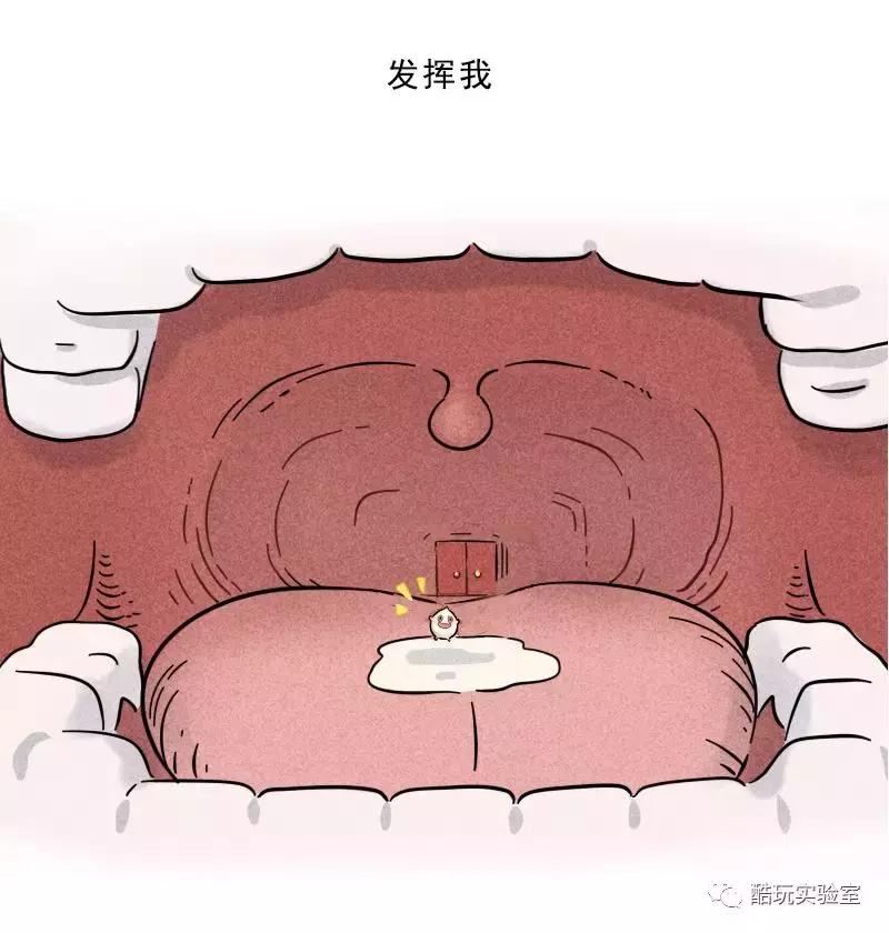 吃太多的糖会让你变胖,让你变丑变老的不是脂肪而是糖