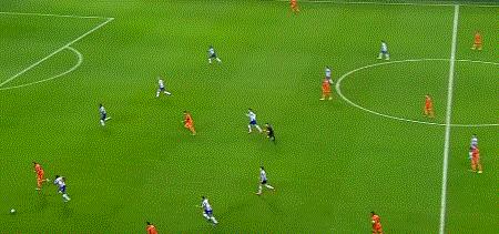 巨龙困斑马，黄蜂覆脸盆