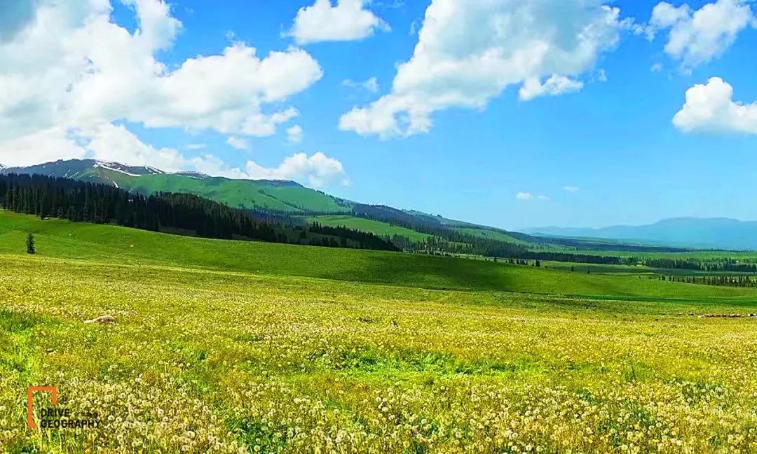 值得走一遭的网红公路,全疆最美的公路