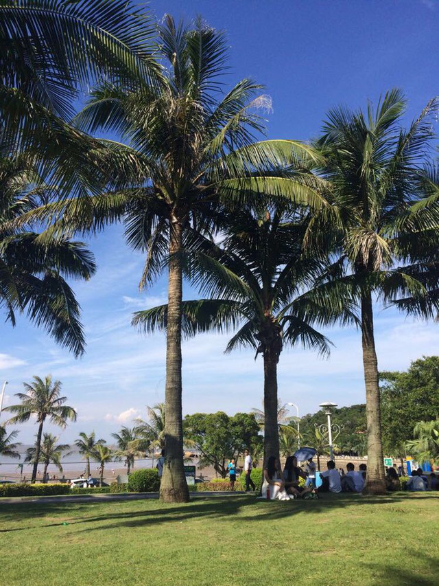 珠海打工的真实经历,珠海海洋王国打工