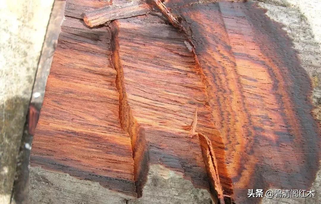 红木十大收藏榜,红木收藏最好的地方