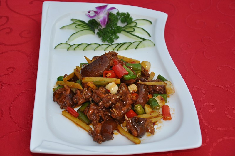 养殖荷兰猪价值多少,养殖荷兰猪一般多少钱一只