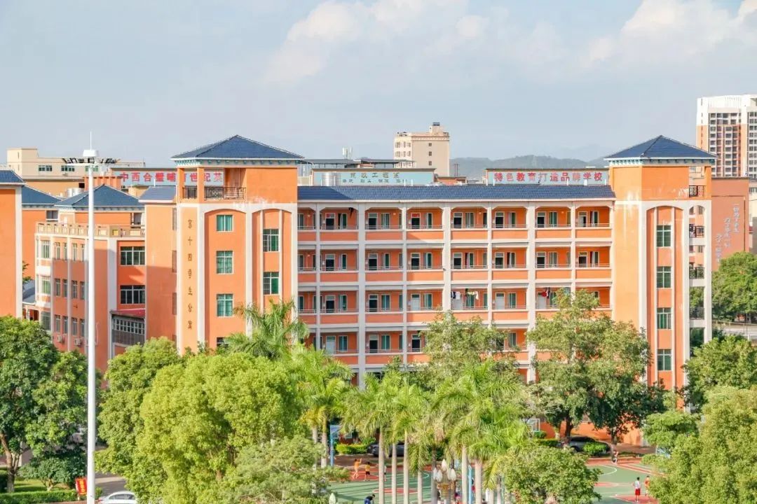 惠州经济职业技术学院建议报吗,高职高考看什么视频