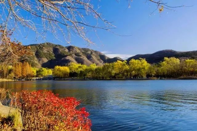 传疯了！北京第一美女找工作，简历惊呆全国！