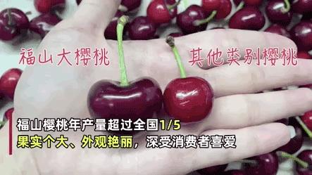 不吃不知道，这座海滨城市就是北方的顺德啊