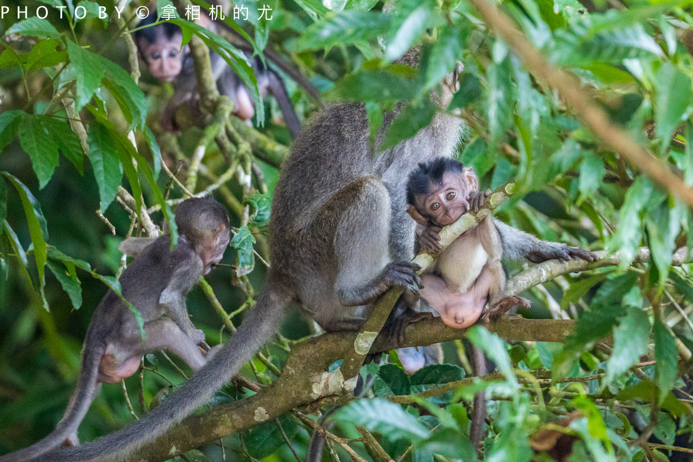 婕父瓒呬汉鏄ヨ妭鏃呮父鏀荤暐,婕父瓒呬汉鏃呮父鏀荤暐