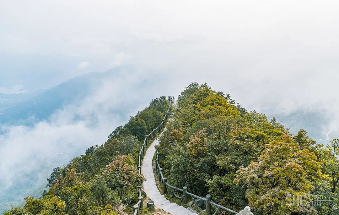 深圳30个经典片区,深圳这座城市承载了太多回忆