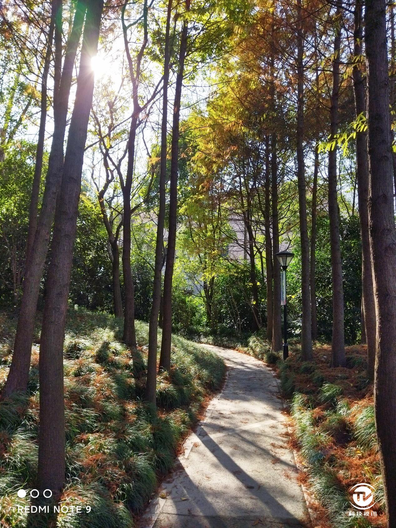 redmi性价比最高的1000左右手机,redminote9和note9pro哪个好