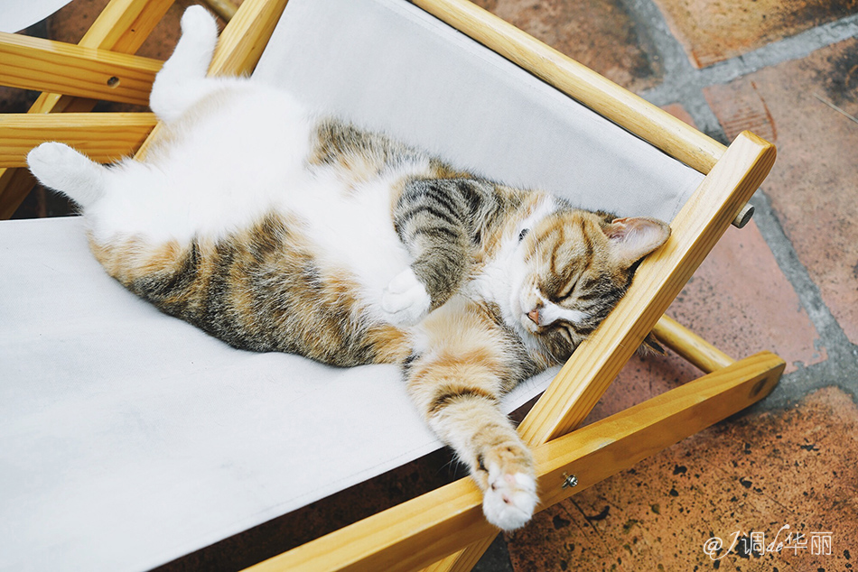 厦门没去过的地方,厦门没去过的景点