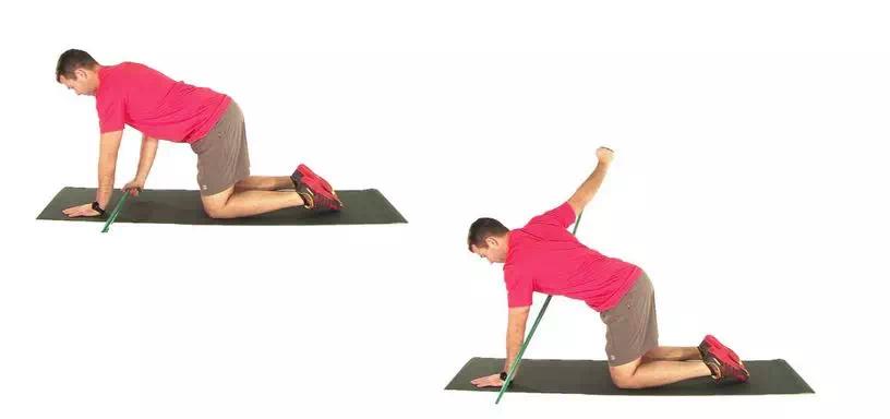 核心收紧和腹部收紧有什么区别,核心收紧就是吸肚子吗