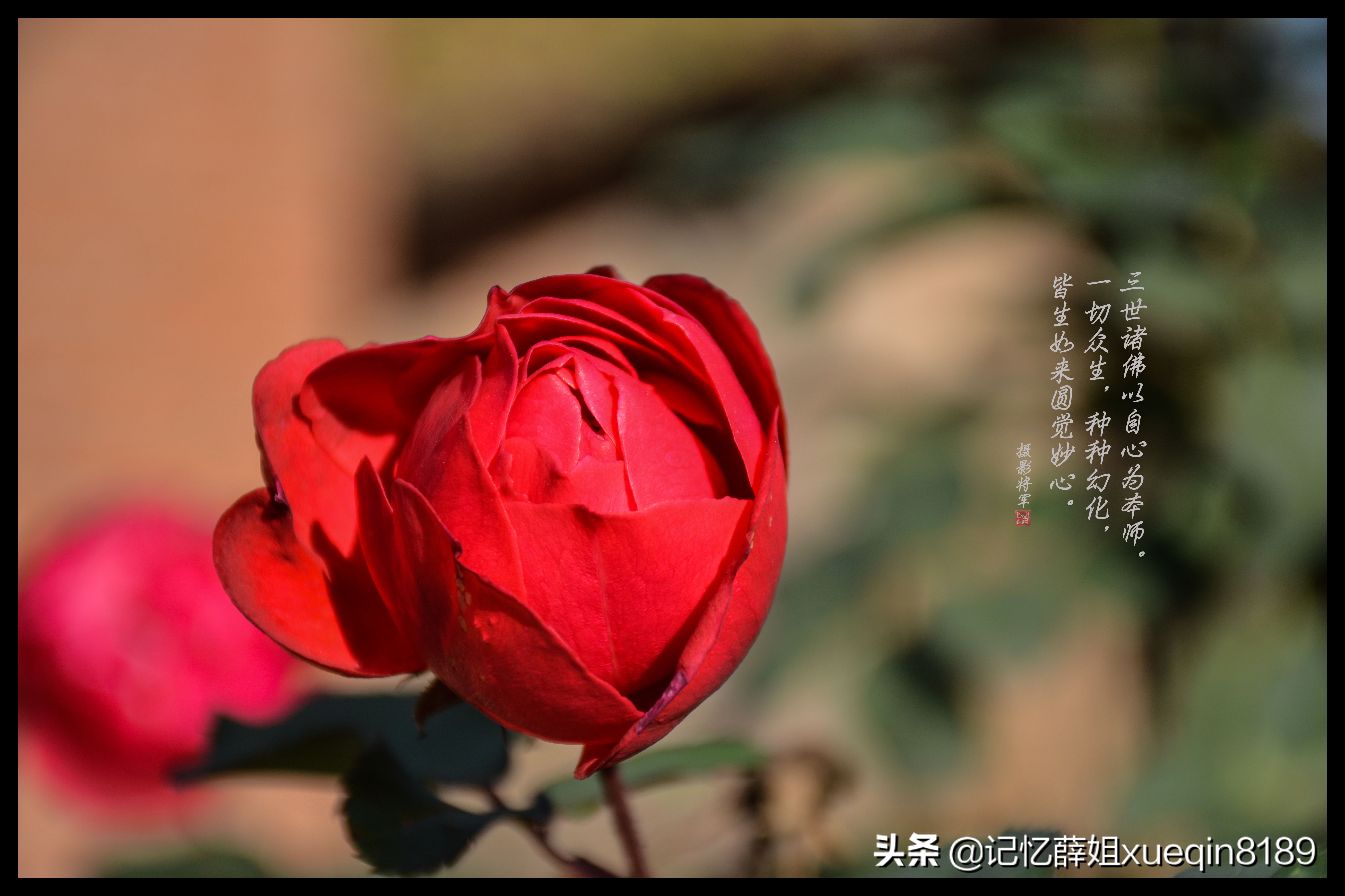 摄影测光的正确方法,摄影时怎么测光