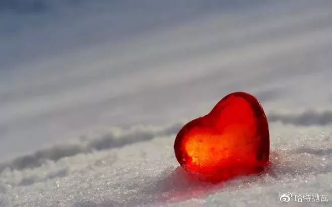 左曦为什么那么厉害,左曦