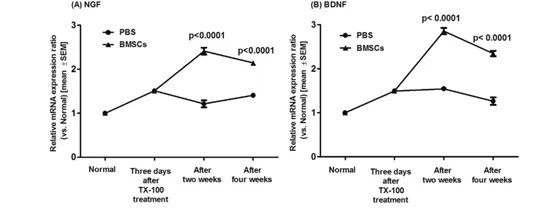 干细胞治疗脑卒中后遗症的新药,日本神经干细胞治疗脑出血后遗症