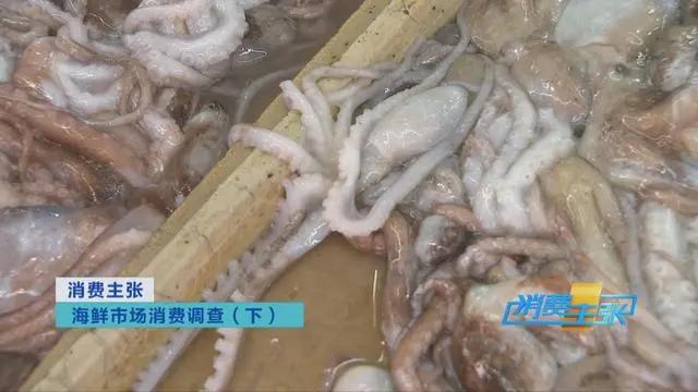 三亚海鲜市场皮皮虾多少钱一斤,海鲜市场上的皮皮虾