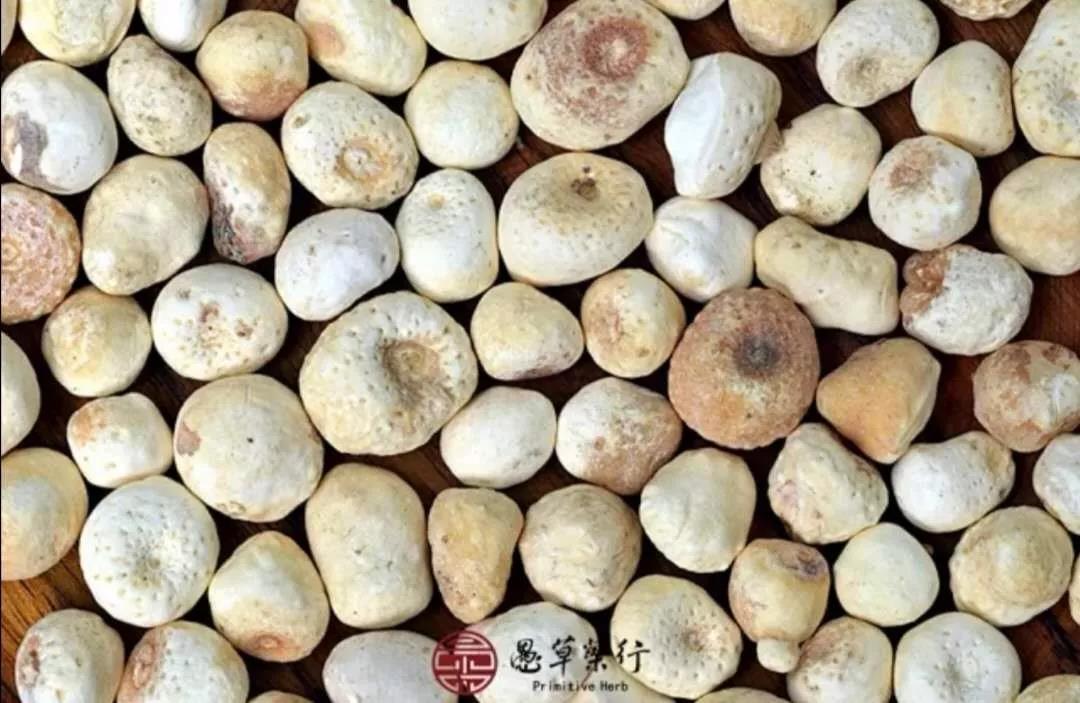 半夏有毒生姜可解,半夏有毒对身体有什么危害