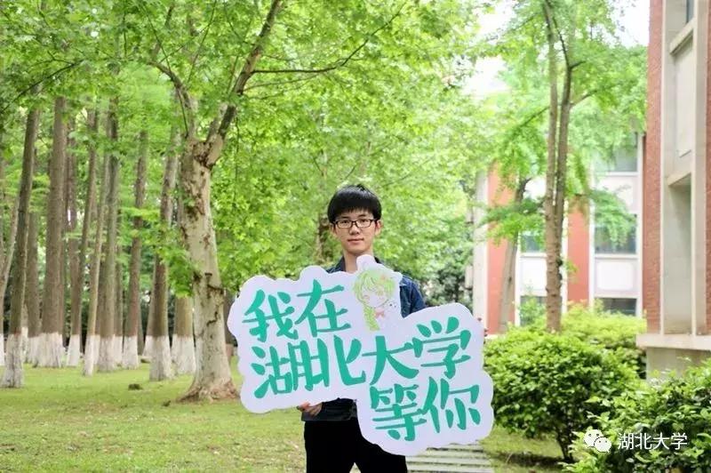 高考志愿湖北大学,高考志愿填报湖北大学