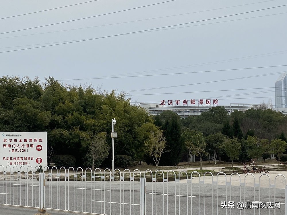 一位医生在方舱医院的日记,女医生在武汉抗疫事迹