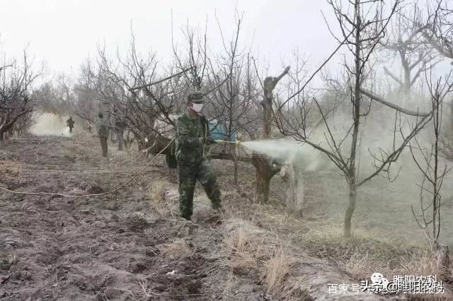 春季果树病虫防治打什么药,春天果树打什么药防病虫害