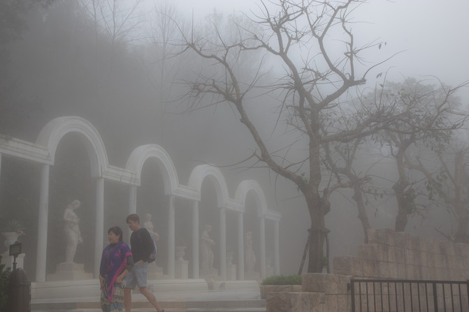 华人在越南经济地位,华人在越南的历史
