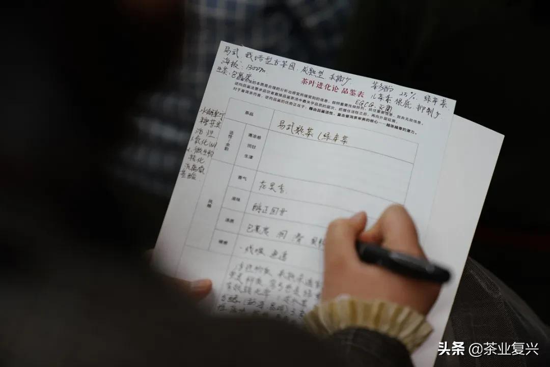 如果没有会喝易武茶的人，好茶的存在就没有意义