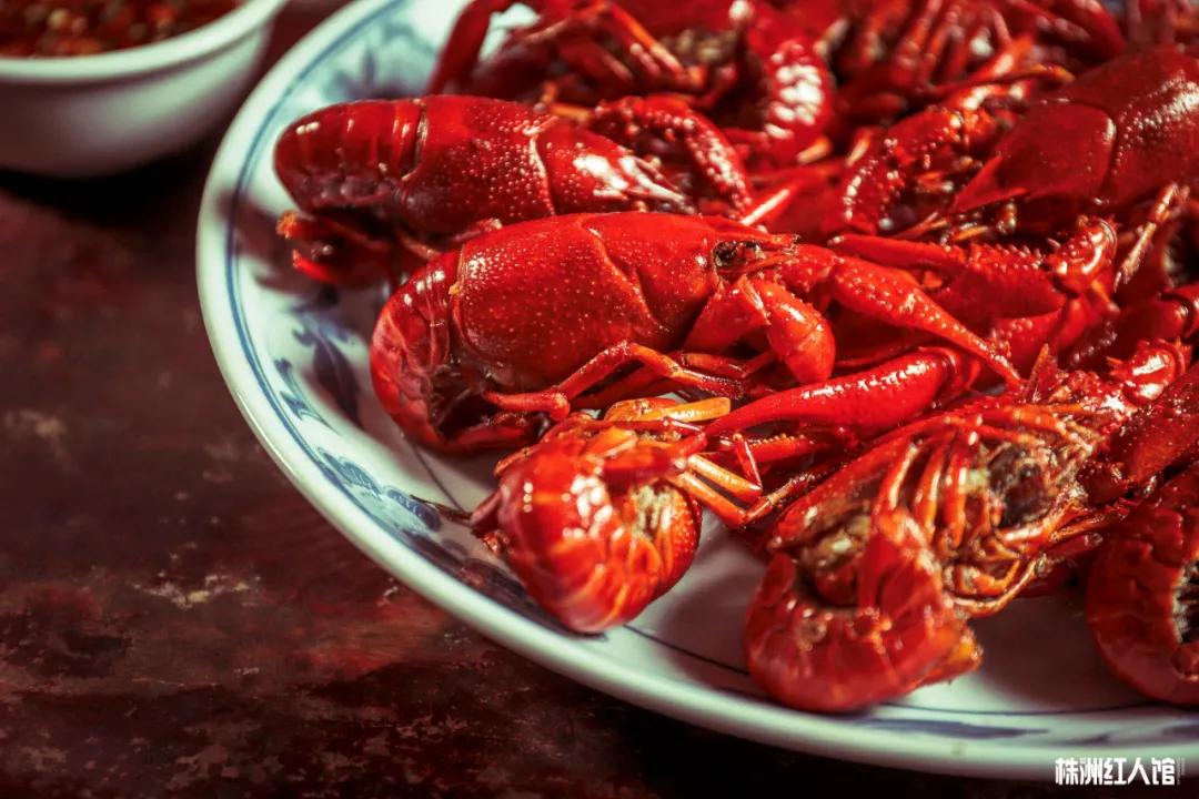 神经哥回归过程,神经哥原唱歌曲