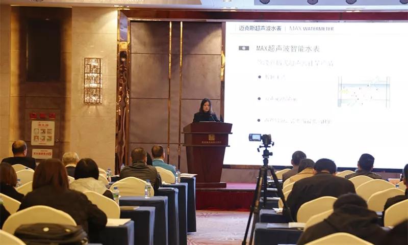 广东智慧水务,海威茨国际水务