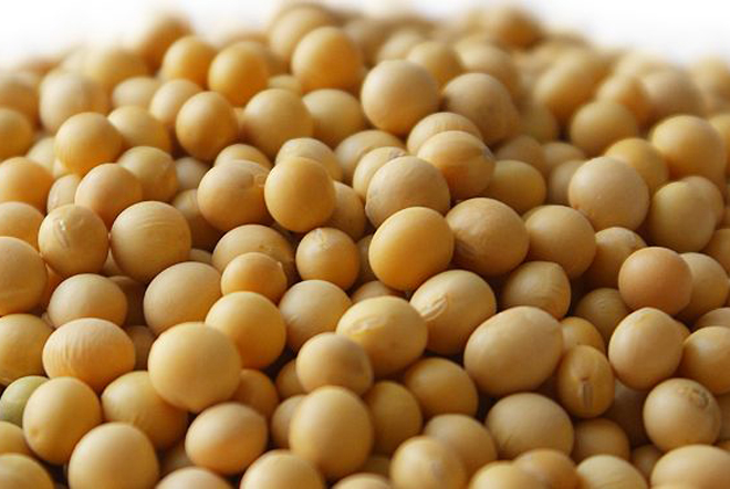 大豆如何种植更高产?从种到收需要哪些管理?农户们该怎么做?