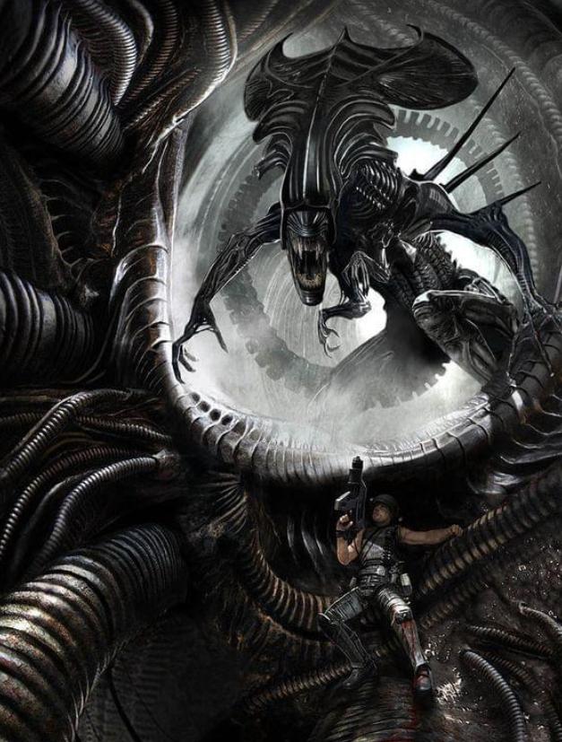 寮傚舰vs閾佽鎴樺＋娣卞害瑙ｈ,涔愰珮閾佽鎴樺＋vs寮傚舰