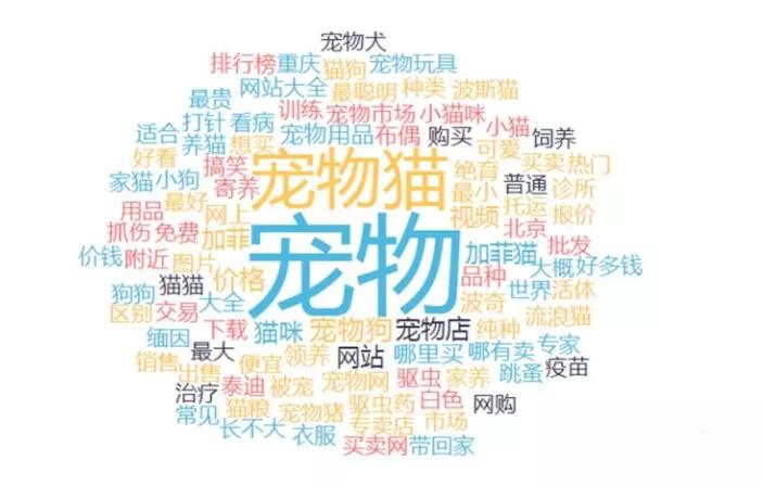抖音视频带货账号定位,抖音账号定位最好的前十名