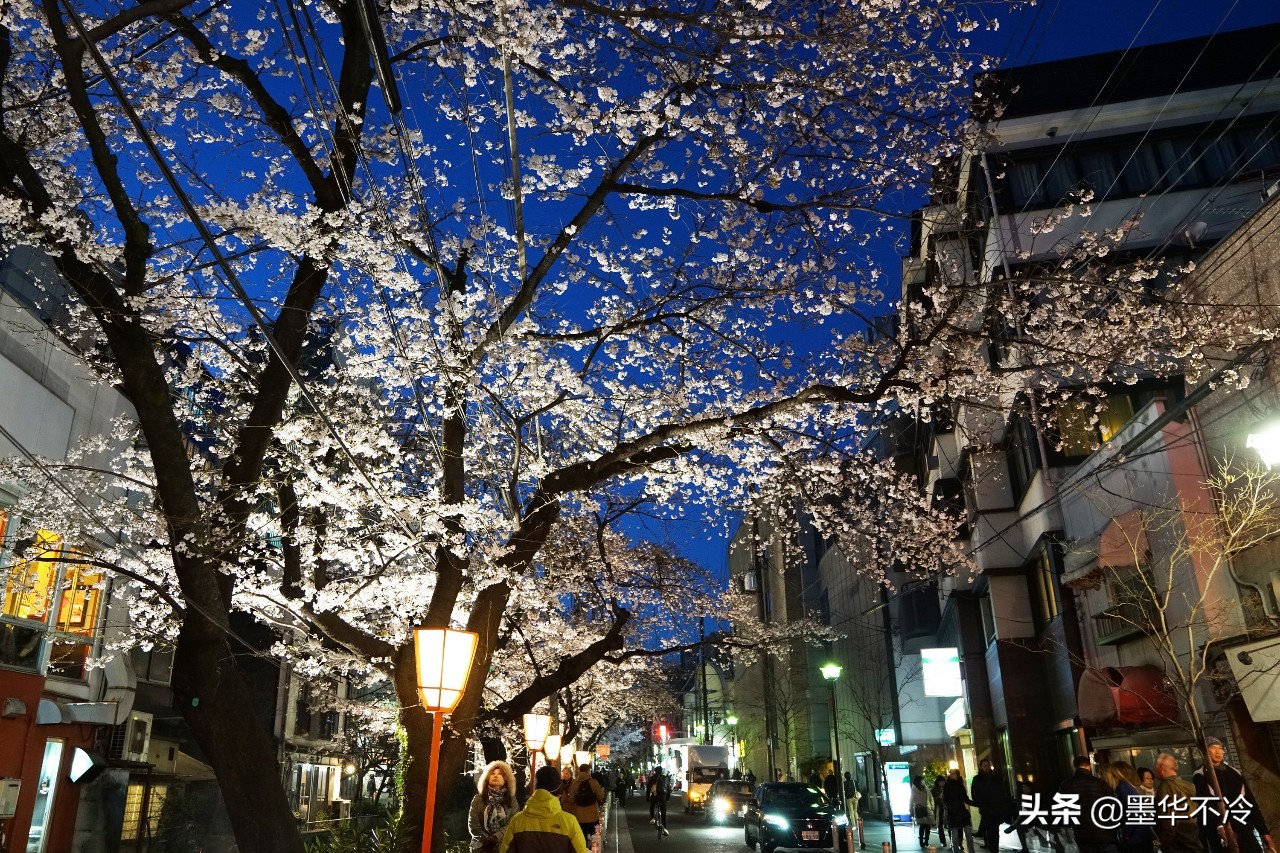 京都一眼千年的美景,京都永恒的美