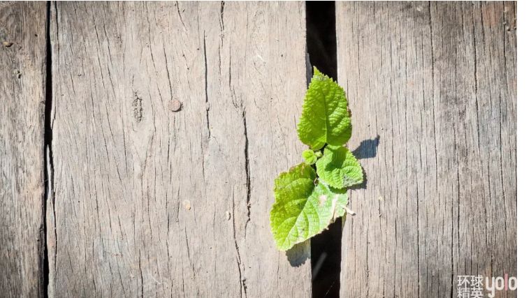 浮躁的时代更需要沉静的心去面对,在这个浮躁的时代能保持内心平静