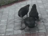 聚划算值得买吗,聚划算的价格