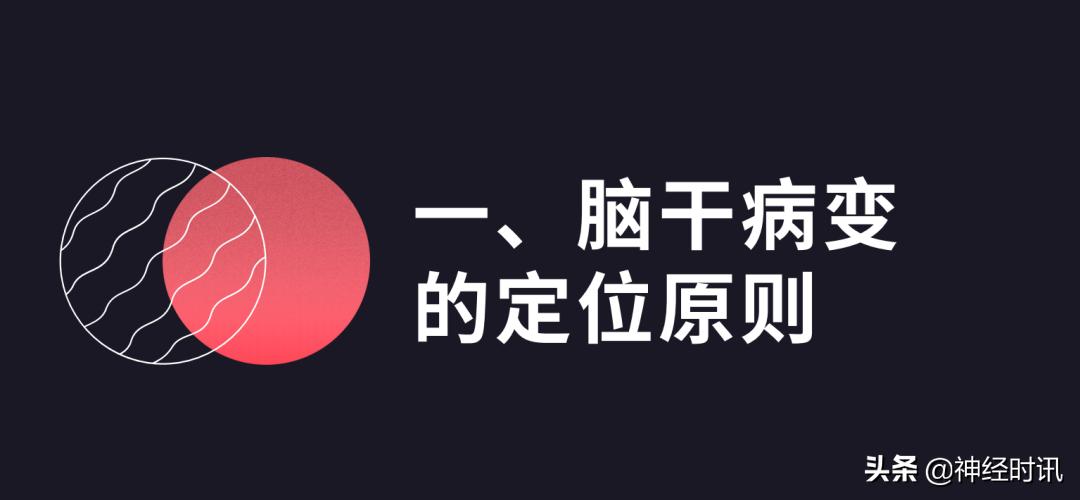 脑干解剖,脑干神经解剖