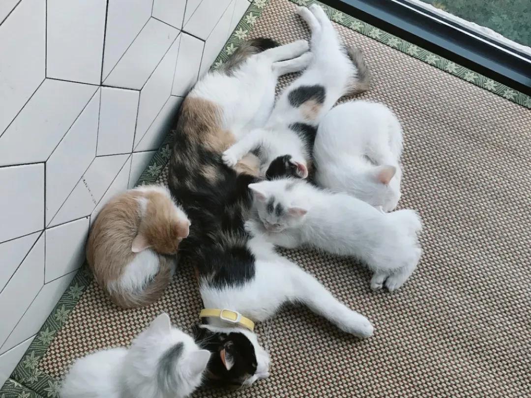 用阅读触摸成都｜在成都不能错过的10家书店（下）