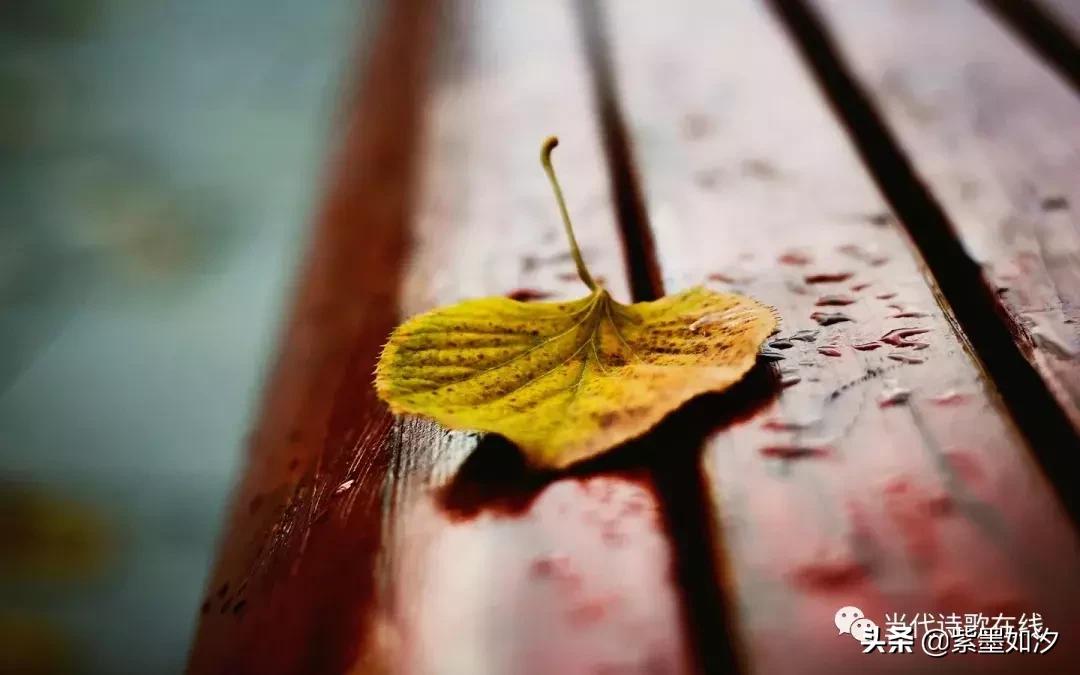 『当代诗歌在线』悦诗风吟（总第7期）